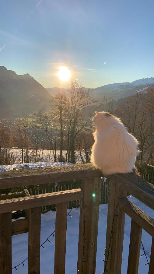 Bnb Blockhausfeeling Walenstadtberg Esterno foto